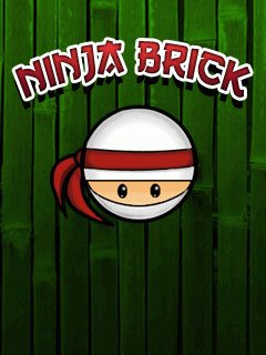 game pic for Ninja Brick